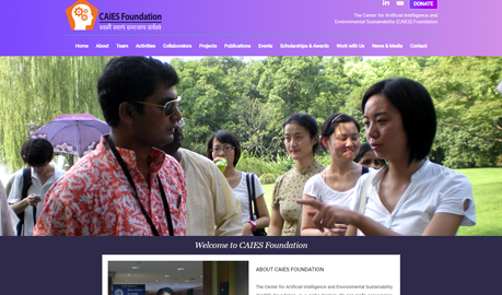 CAIES Foundation Website Design, Web Designers Delhi, India,  Website Designers Delhi, Responsive Web Design and Development