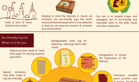Eco-Friendly Kit Infographic, Infographic Designers Delhi, Infographic Designers Delhi India