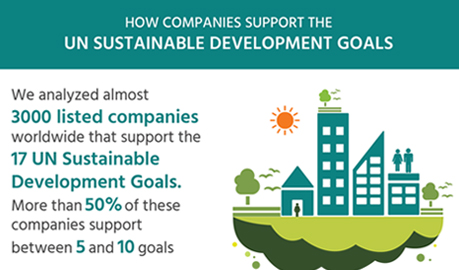UN Sustainable Development Goals Infographic Design, UN Sustainable Development  Infographic Design, Infographic Designers Delhi, Infographic Designers Delhi India